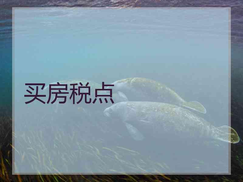 买房税点 买房税点
