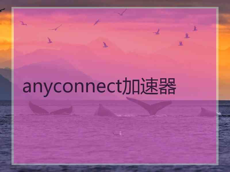 anyconnect加速器