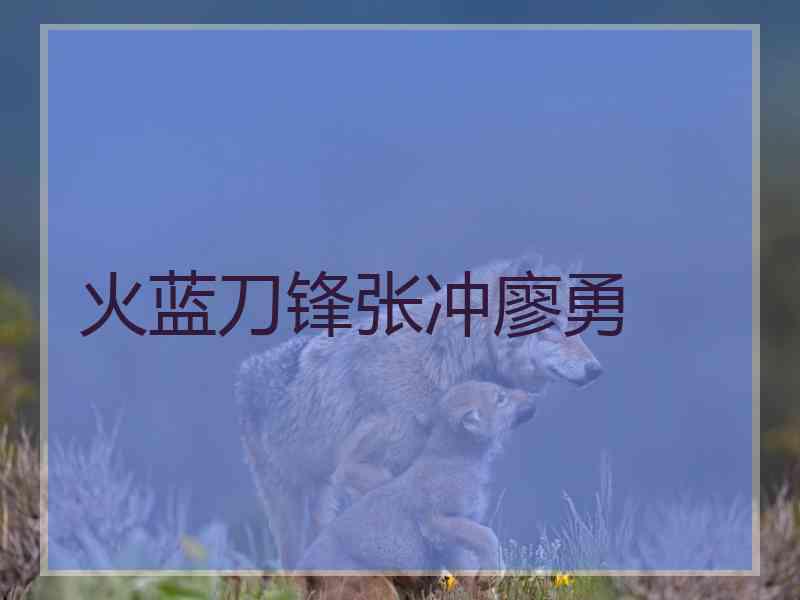 火蓝刀锋张冲廖勇 火蓝刀锋张冲廖勇