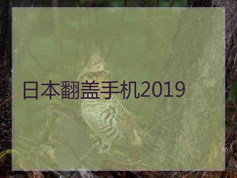 日本翻盖手机2019 日本翻盖手机2019