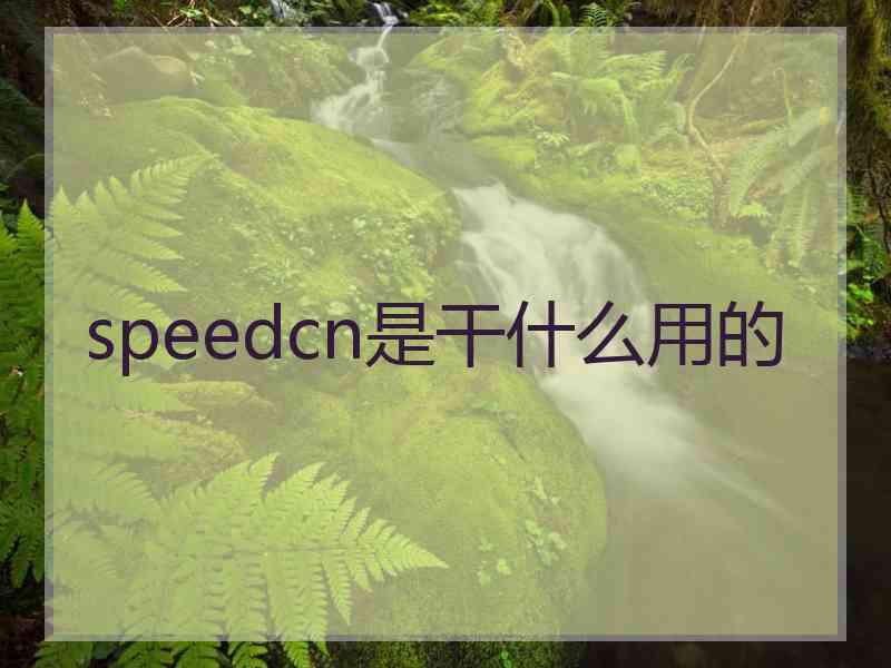 speedcn是干什么用的