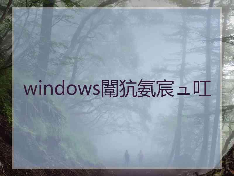 windows闈犺氨宸ュ叿