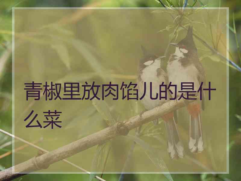 青椒里放肉馅儿的是什么菜 青椒里放肉馅儿的是什么菜
