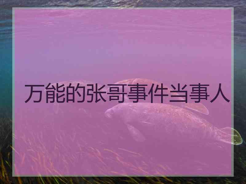 万能的张哥事件当事人 万能的张哥事件当事人