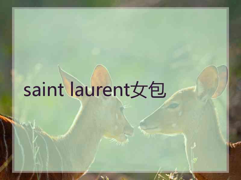 saint laurent女包 saint laurent女包