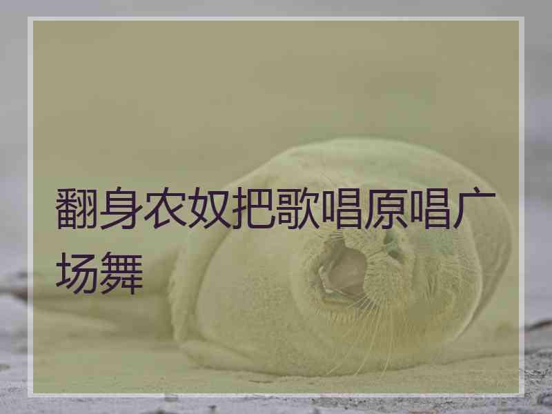 翻身农奴把歌唱原唱广场舞 翻身农奴把歌唱原唱广场舞