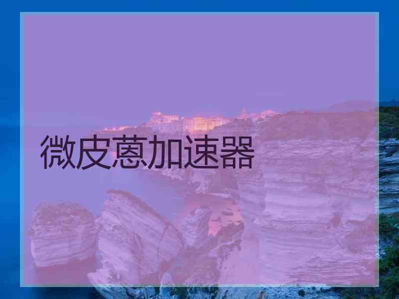 微皮蒽加速器 微皮蒽加速器