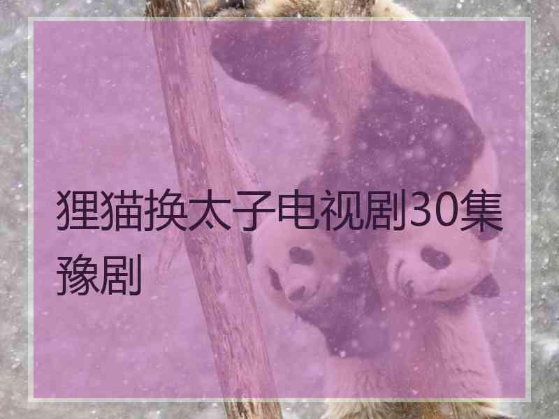 狸猫换太子电视剧30集豫剧