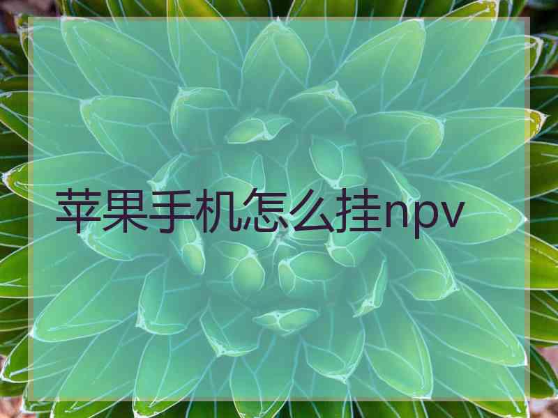 苹果手机怎么挂npv 苹果手机怎么挂npv