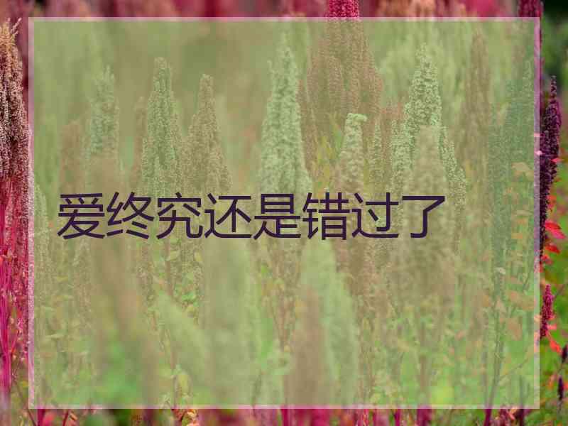 爱终究还是错过了 爱终究还是错过了