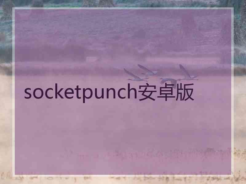 socketpunch安卓版 socketpunch安卓版