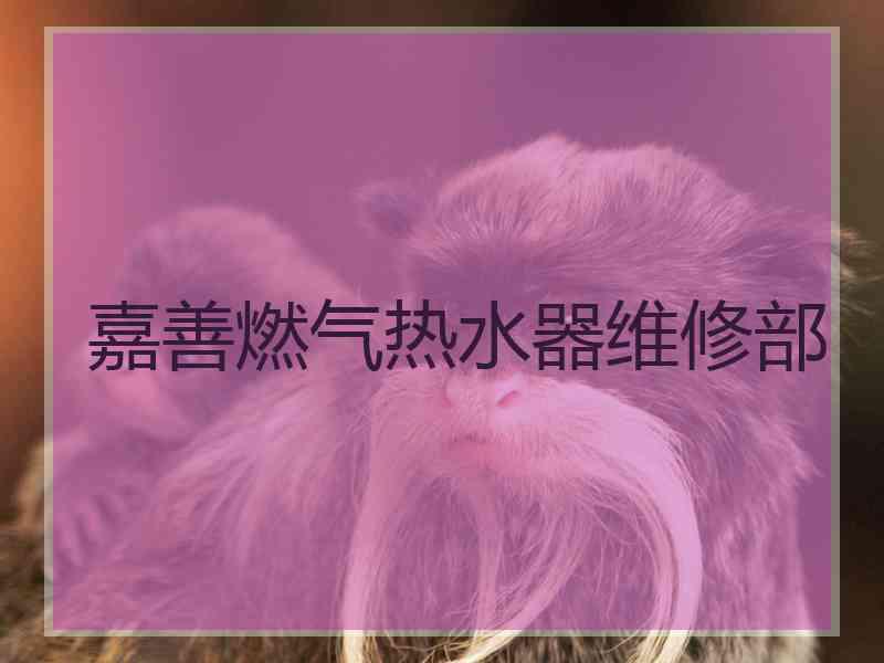 嘉善燃气热水器维修部 嘉善燃气热水器维修部