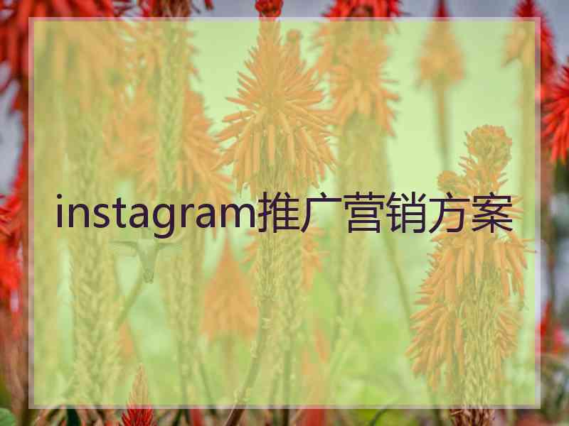 instagram推广营销方案 instagram推广营销方案