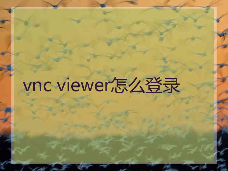 vnc viewer怎么登录 vnc viewer怎么登录