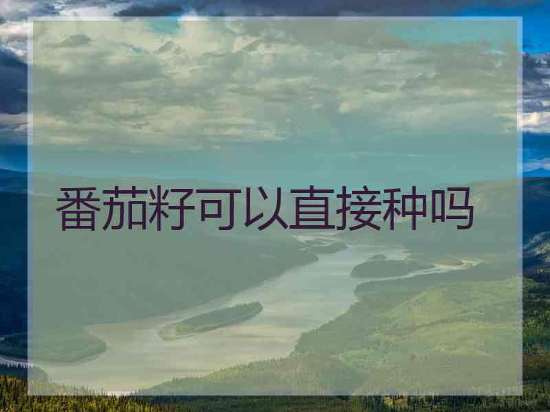 番茄籽可以直接种吗 番茄籽可以直接种吗