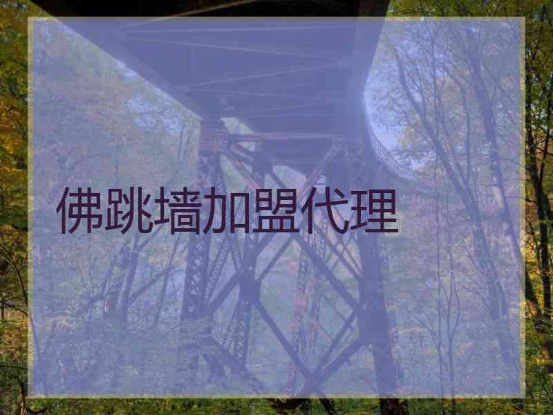 佛跳墙加盟代理 佛跳墙加盟代理