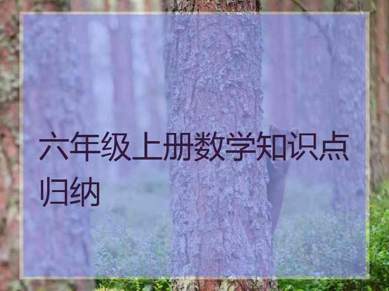 六年级上册数学知识点归纳 六年级上册数学知识点归纳