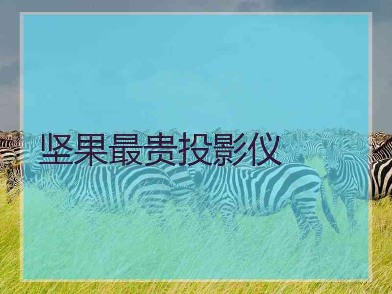 坚果最贵投影仪 坚果最贵投影仪