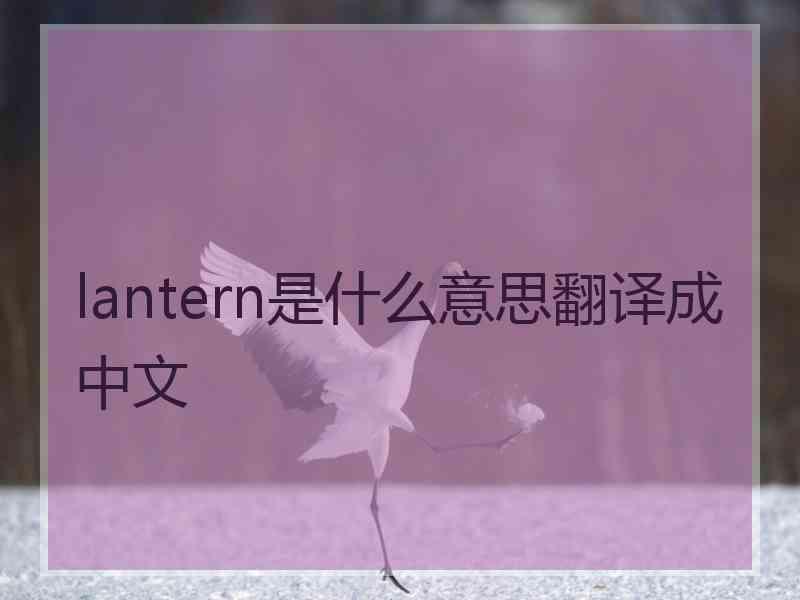 lantern是什么意思翻译成中文 lantern是什么意思翻译成中文