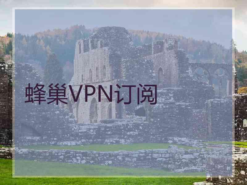 蜂巢VPN订阅 蜂巢VPN订阅