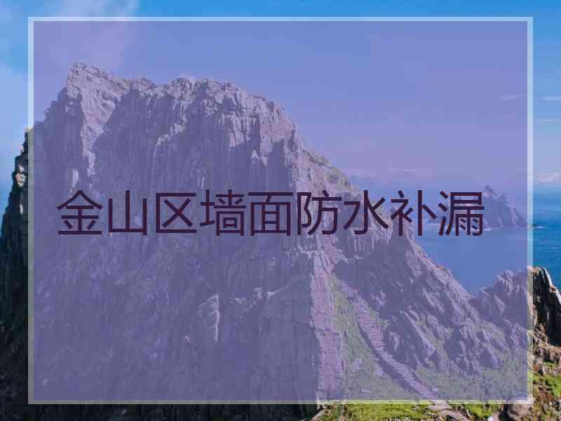 金山区墙面防水补漏 金山区墙面防水补漏