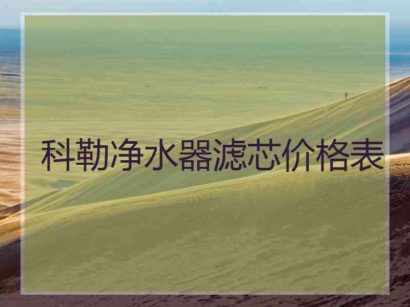 科勒净水器滤芯价格表 科勒净水器滤芯价格表