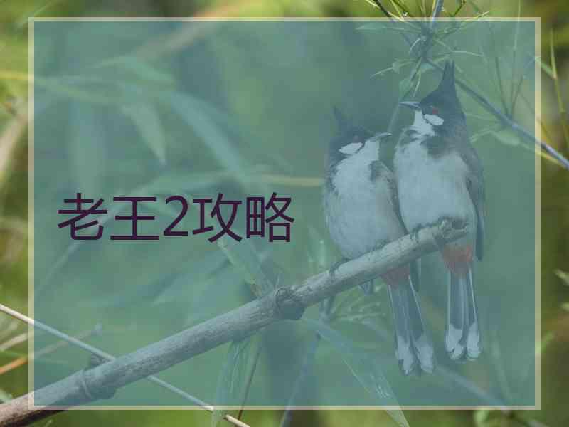 老王2攻略 老王2攻略