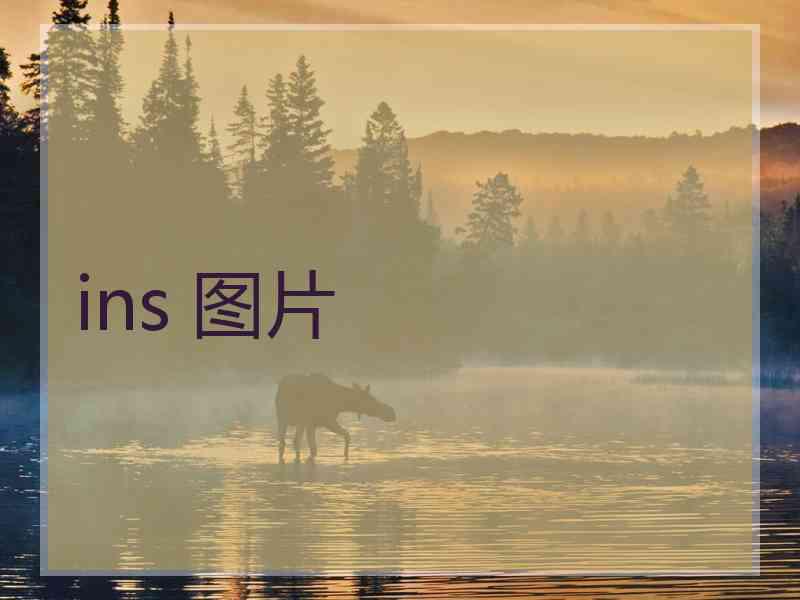 ins 图片 ins 图片