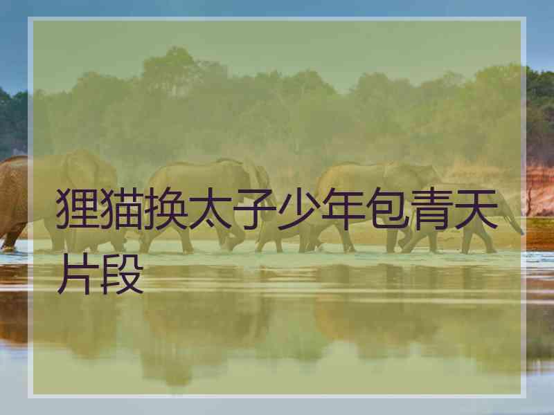 狸猫换太子少年包青天片段 狸猫换太子少年包青天片段
