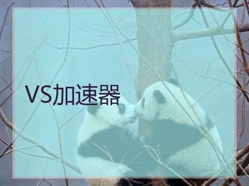 VS加速器 VS加速器