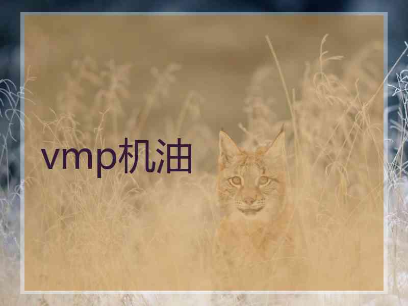 vmp机油 vmp机油