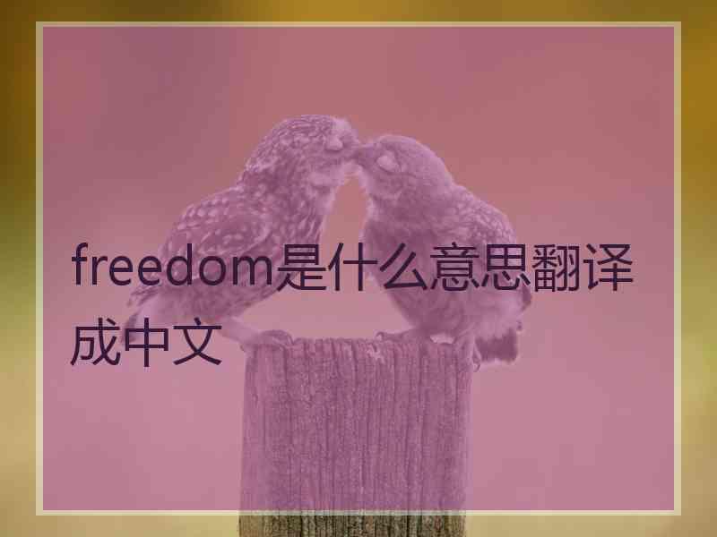 freedom是什么意思翻译成中文