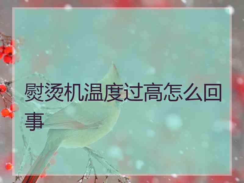 熨烫机温度过高怎么回事 熨烫机温度过高怎么回事