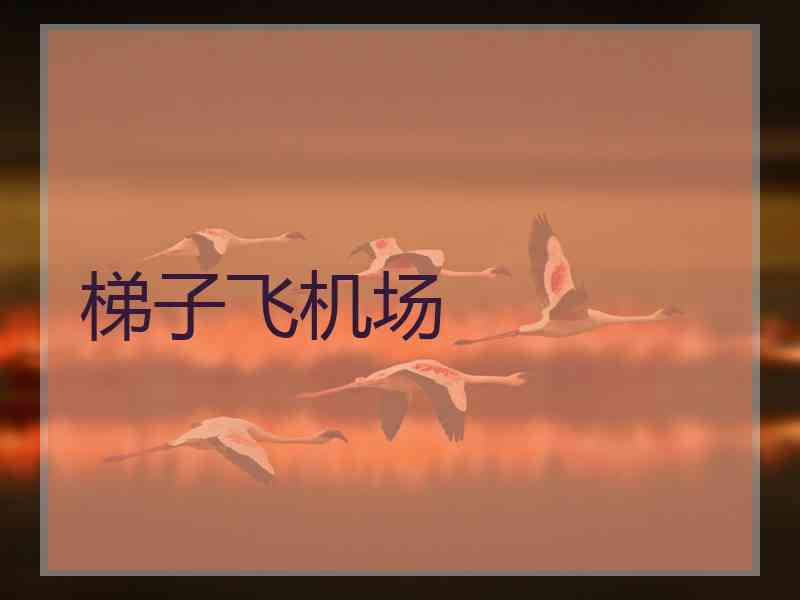 梯子飞机场 梯子飞机场