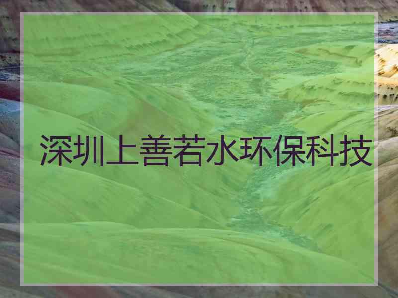 深圳上善若水环保科技