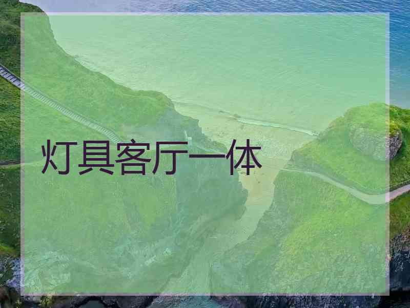 灯具客厅一体 灯具客厅一体