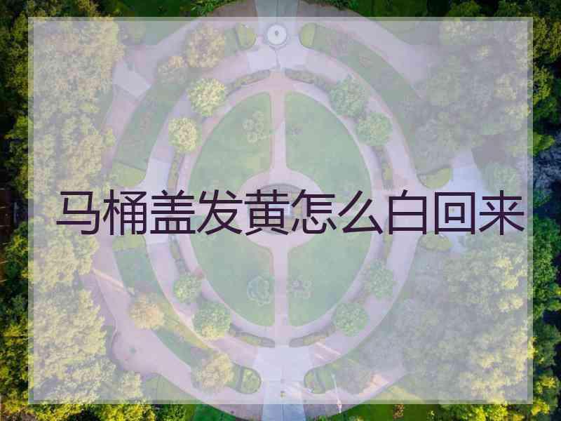 马桶盖发黄怎么白回来 马桶盖发黄怎么白回来