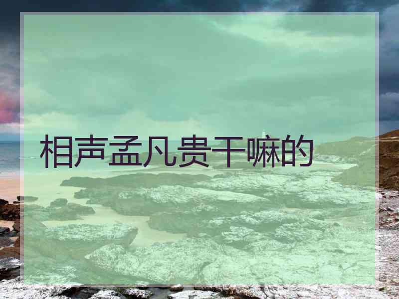 相声孟凡贵干嘛的 相声孟凡贵干嘛的