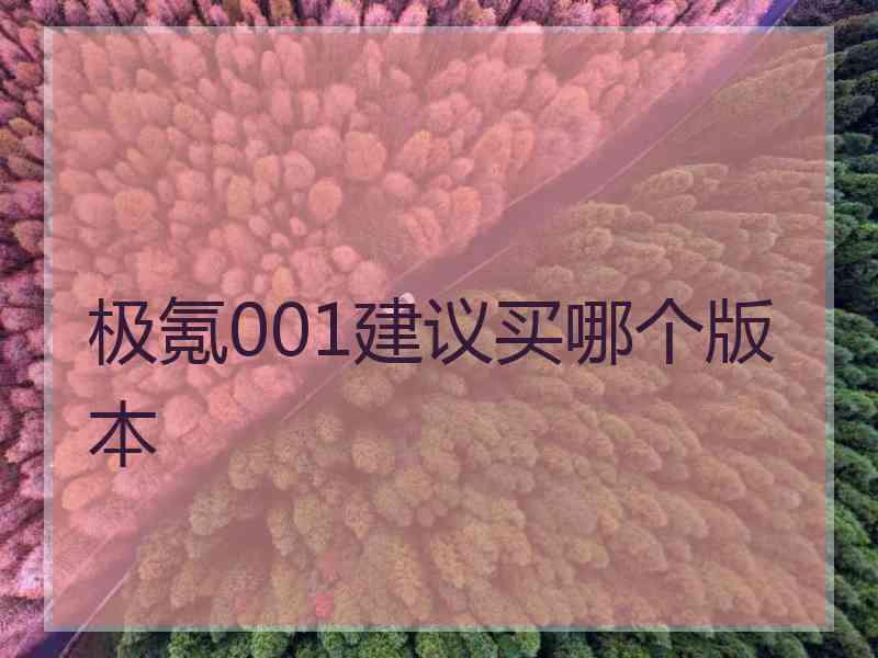 极氪001建议买哪个版本 极氪001建议买哪个版本