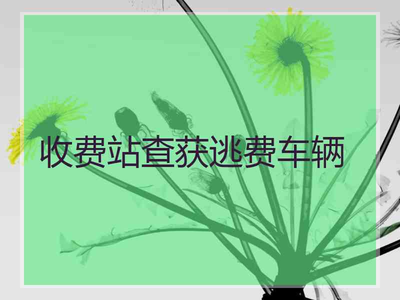 收费站查获逃费车辆 收费站查获逃费车辆