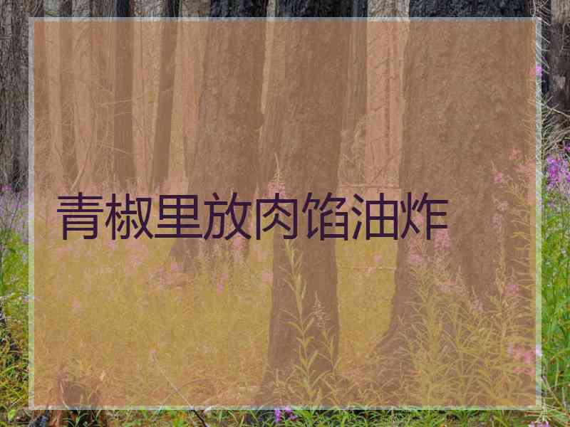 青椒里放肉馅油炸 青椒里放肉馅油炸