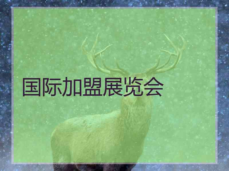 国际加盟展览会 国际加盟展览会