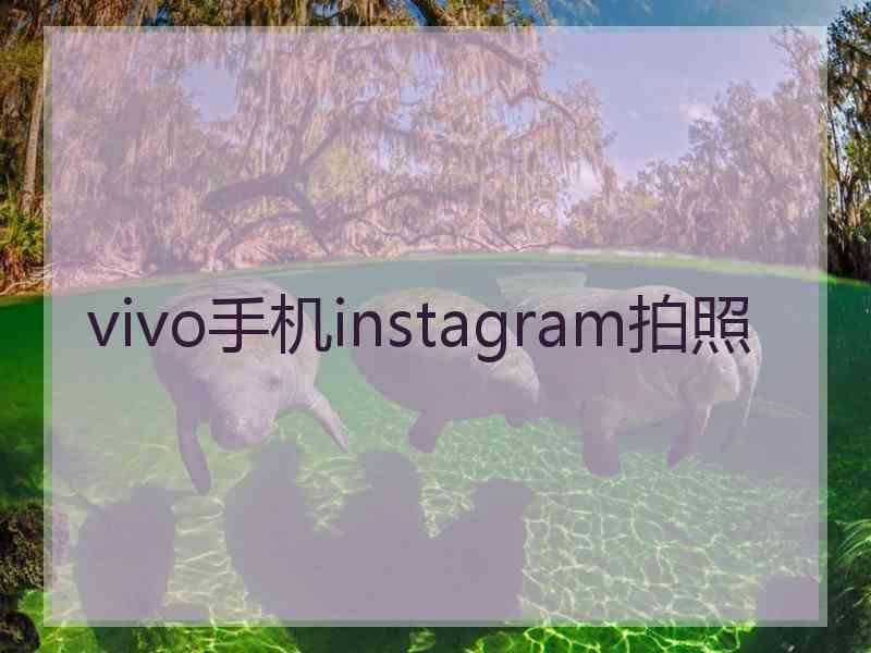 vivo手机instagram拍照