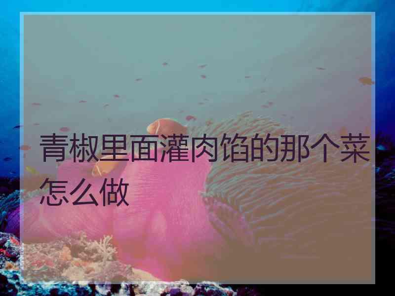 青椒里面灌肉馅的那个菜怎么做 青椒里面灌肉馅的那个菜怎么做
