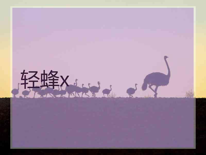 轻蜂x 轻蜂x