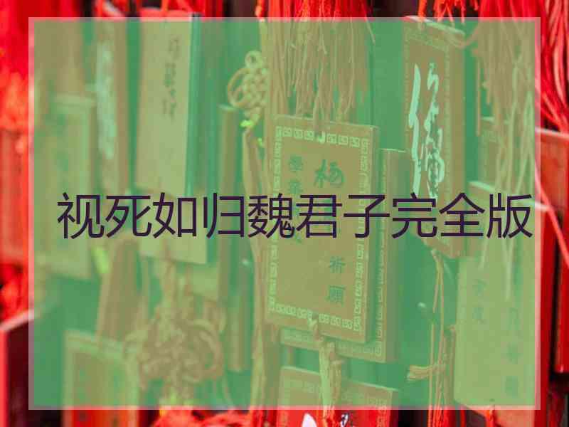 视死如归魏君子完全版 视死如归魏君子完全版