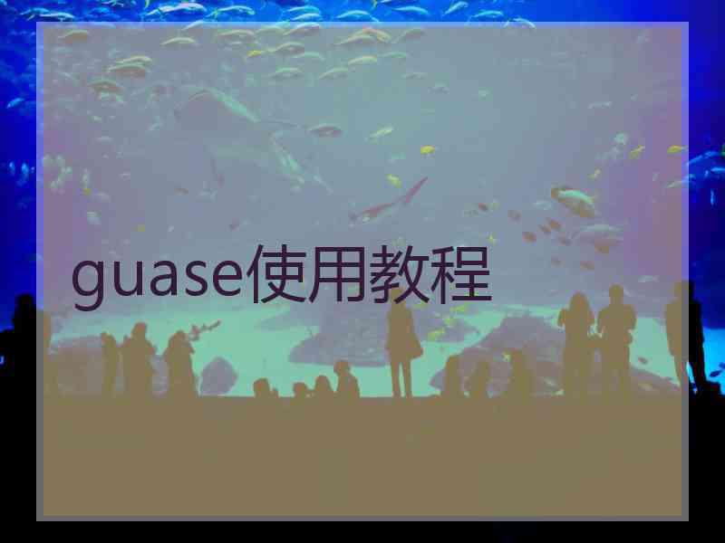 guase使用教程 guase使用教程