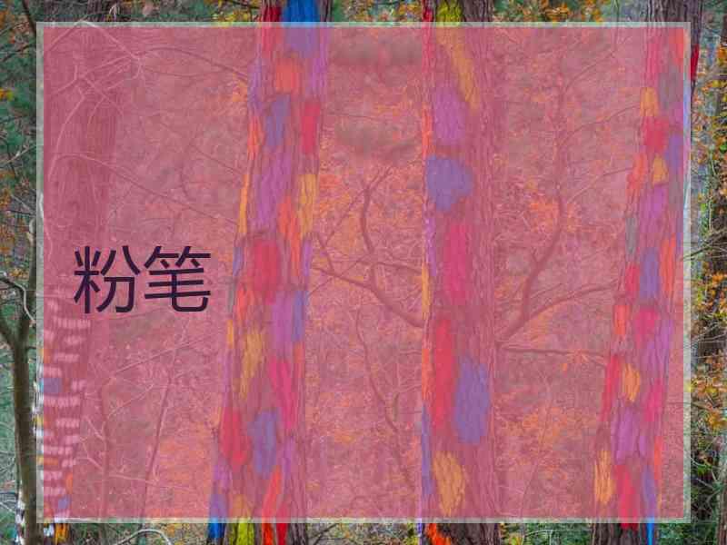 粉笔 粉笔