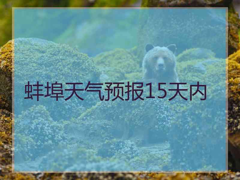 蚌埠天气预报15天内 蚌埠天气预报15天内