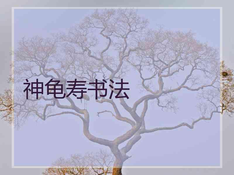神龟寿书法 神龟寿书法